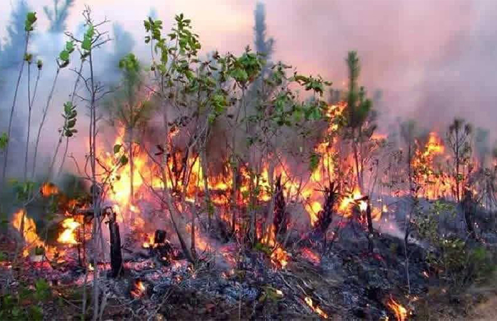 Controlan incendio forestal de muy grandes proporciones en Pinar del Río
