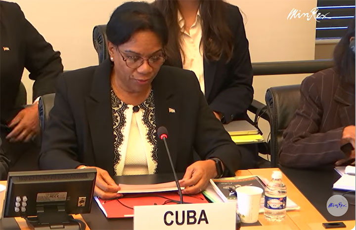 Intervención de Inés María Chapman en la ONU sobre discriminación racial