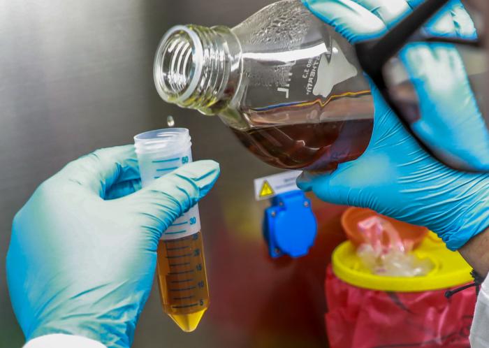 Es un reto construir una sociedad socialista del conocimiento