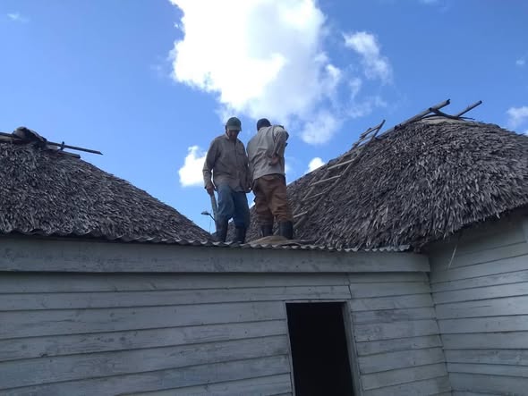 Las profecías de Jesús Menéndez Larrondo en el resguardo de un bohío en Encrucijada