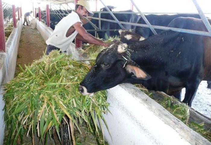 Del esfuerzo individual y colectivo dependerá el desarrollo de cada lugar