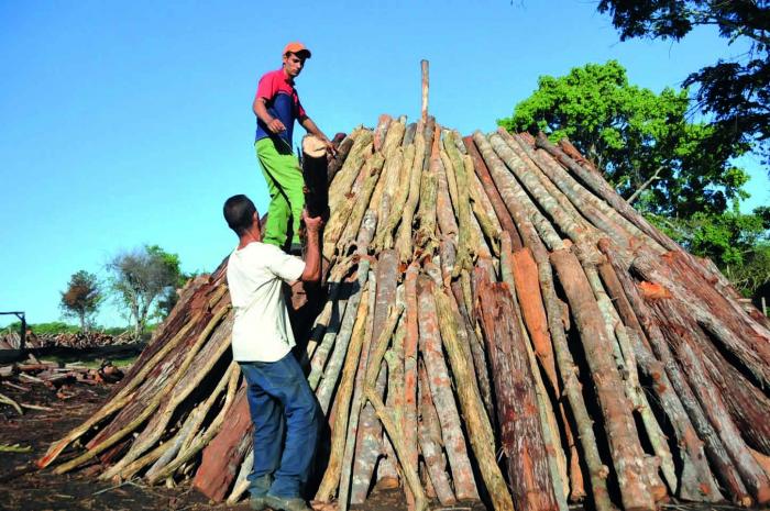 «Si el municipio es próspero, la provincia lo será y el país también»