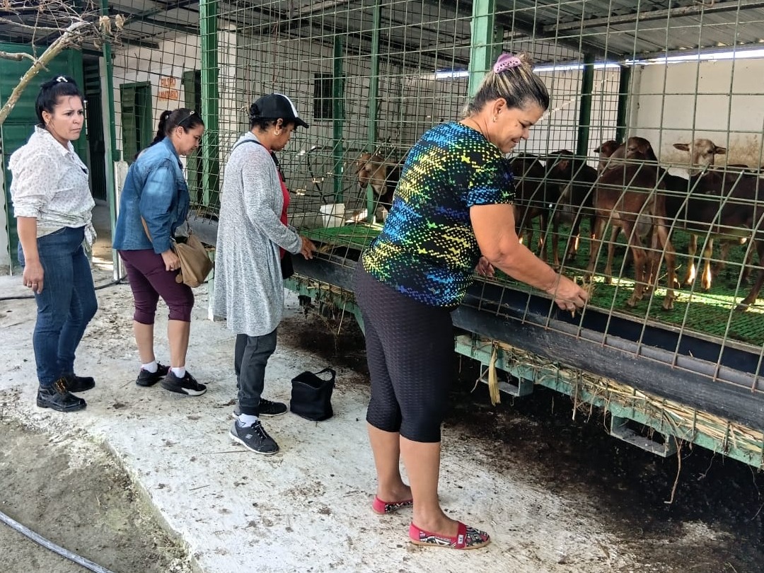 Jornada de trabajo voluntario en Villa Clara por el aniversario 87 de la CTC