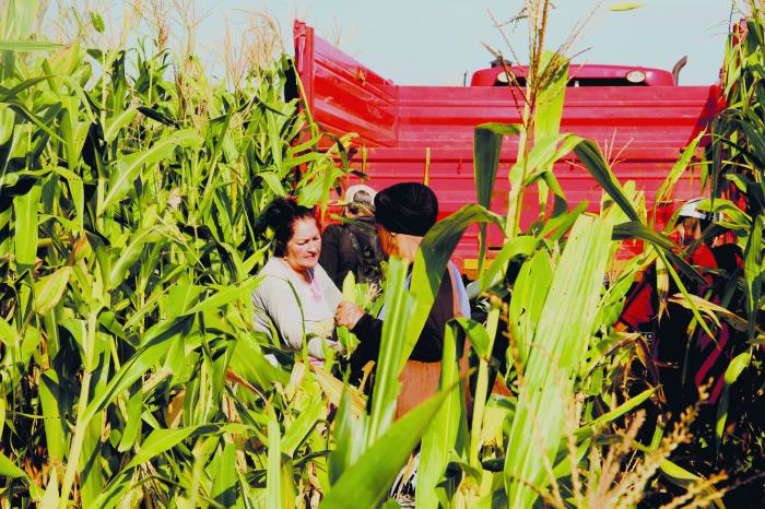Agilizar la entrega de tierras y fortalecer el papel de las cooperativas