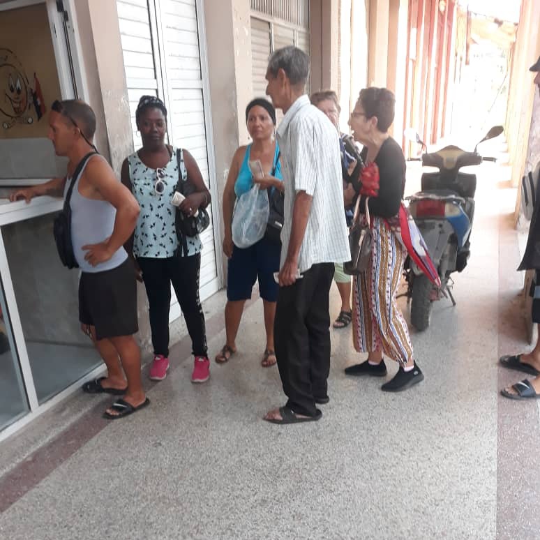 EPPA villaclareña incursiona en producciones alternativas y en la búsqueda de soluciones innovadoras