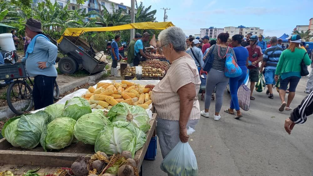Constatan funcionamiento de feria agropecuaria en Santa Clara
