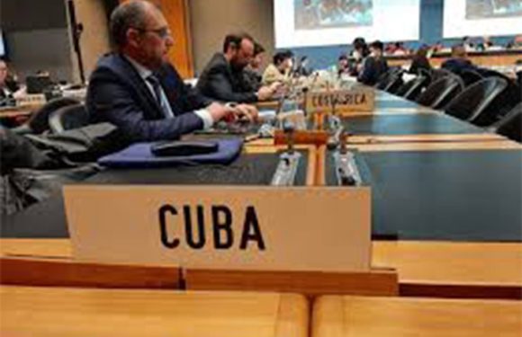 Cuba condena en la XIV Conferencia Ministerial de la OMC el bloqueo de los Estados Unidos