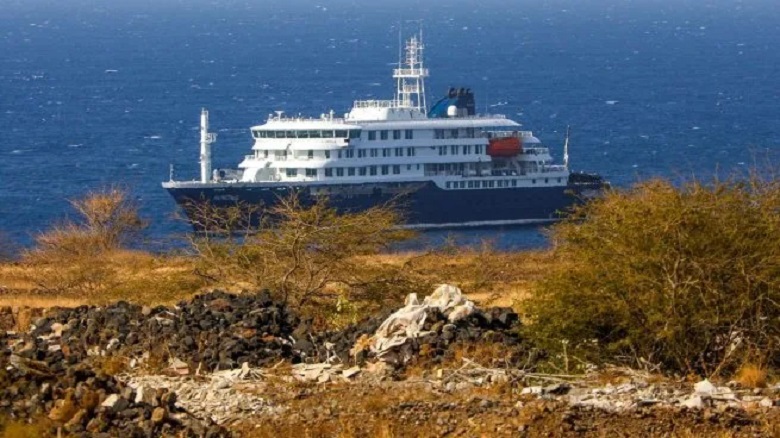 Brote de hantavirus en el crucero Hondius: incertidumbre y preocupación internacional