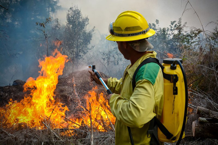 Concluirá el domingo la Semana Nacional de Protección contra Incendios