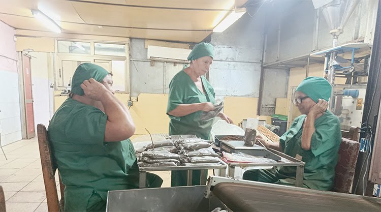 El sabor de la resistencia: como la torrefactora Villa Clara ha tenido que reinventarse en medio de la crisis