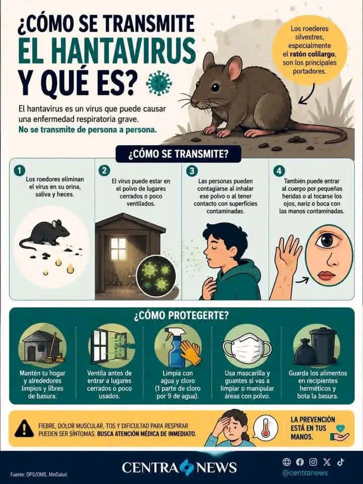 Hantavirus: alarmas ante la llegada de un desconocido