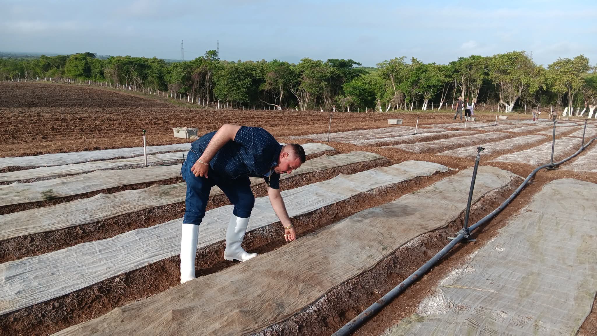 En manos de Guillermo Pérez la vega está segura